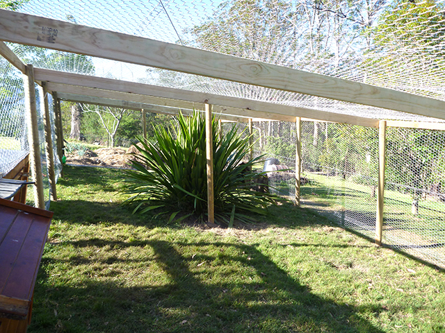 Kangaroo Valley Chicken Enclosure