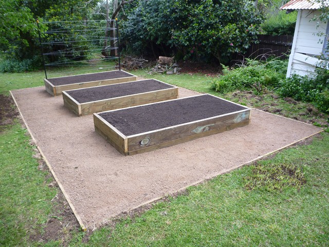Berry raised beds