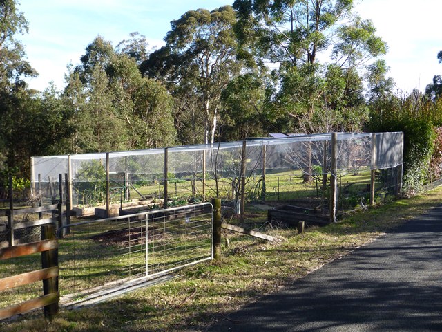 Kangaroo Valley enclosure