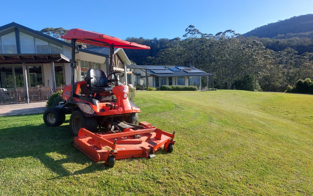 Lawn mowing
