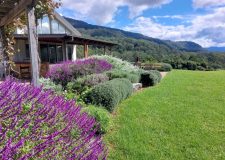 Gardening / Landscaping project in Kangaroo Valley
